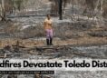 Wildfires Devastate Toledo District