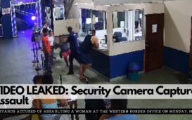 VIDEO LEAKED: Security Camera Captures Assault 