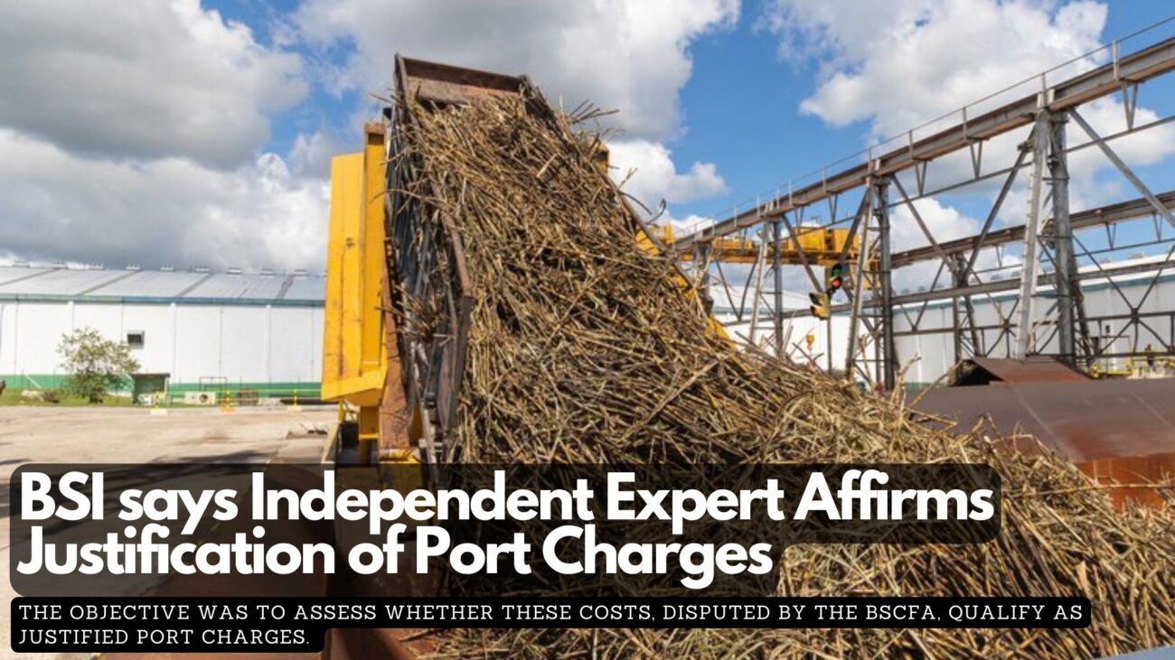 BSI says Independent Expert Affirms Justification of Port Charges