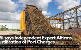 BSI says Independent Expert Affirms Justification of Port Charges
