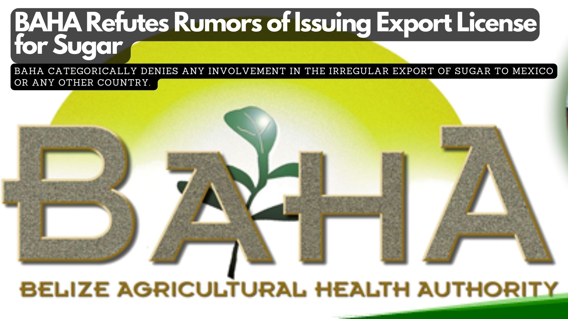 BAHA Refutes Rumors of Issuing Export License for Sugar
