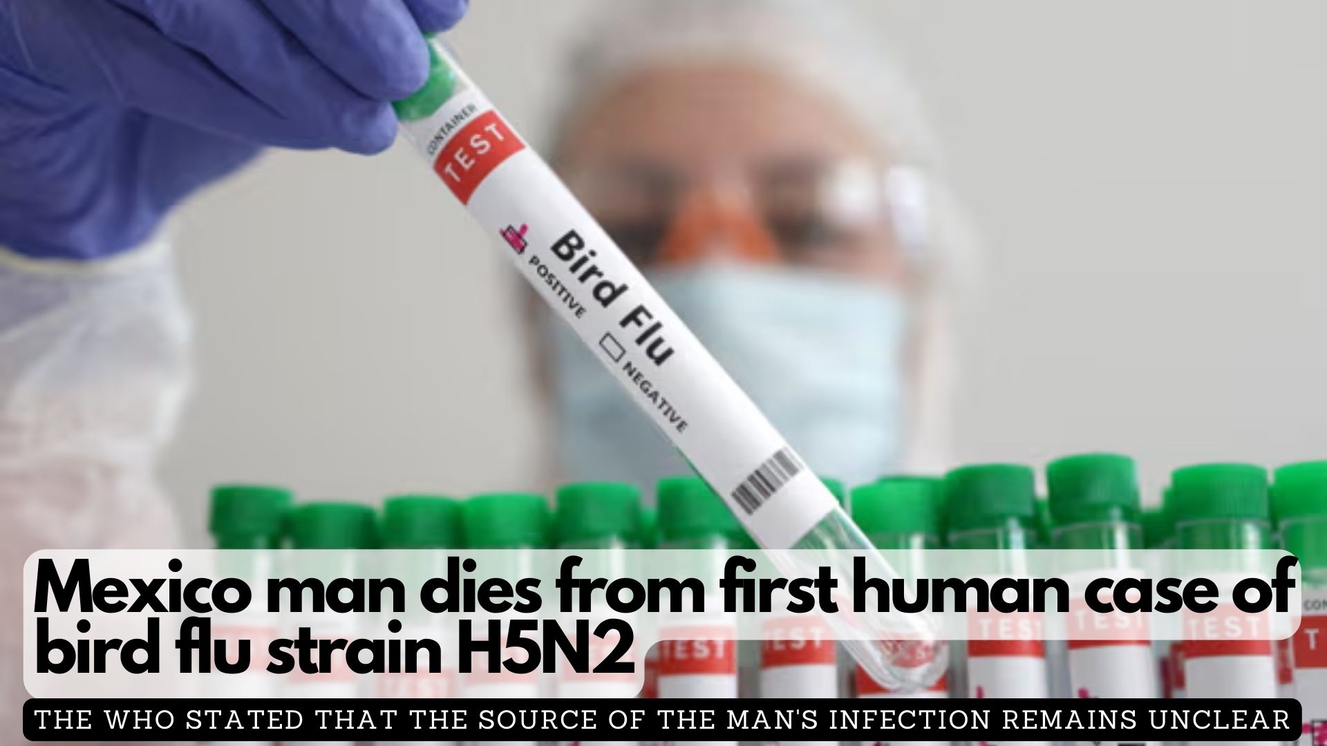 Mexico man dies from first human case of bird flu strain H5N2