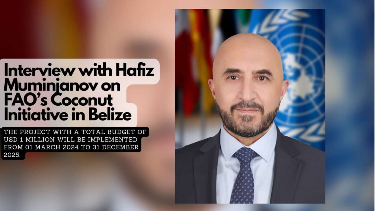 Interview with Hafiz Muminjanov on FAO’s Coconut Initiative in Belize