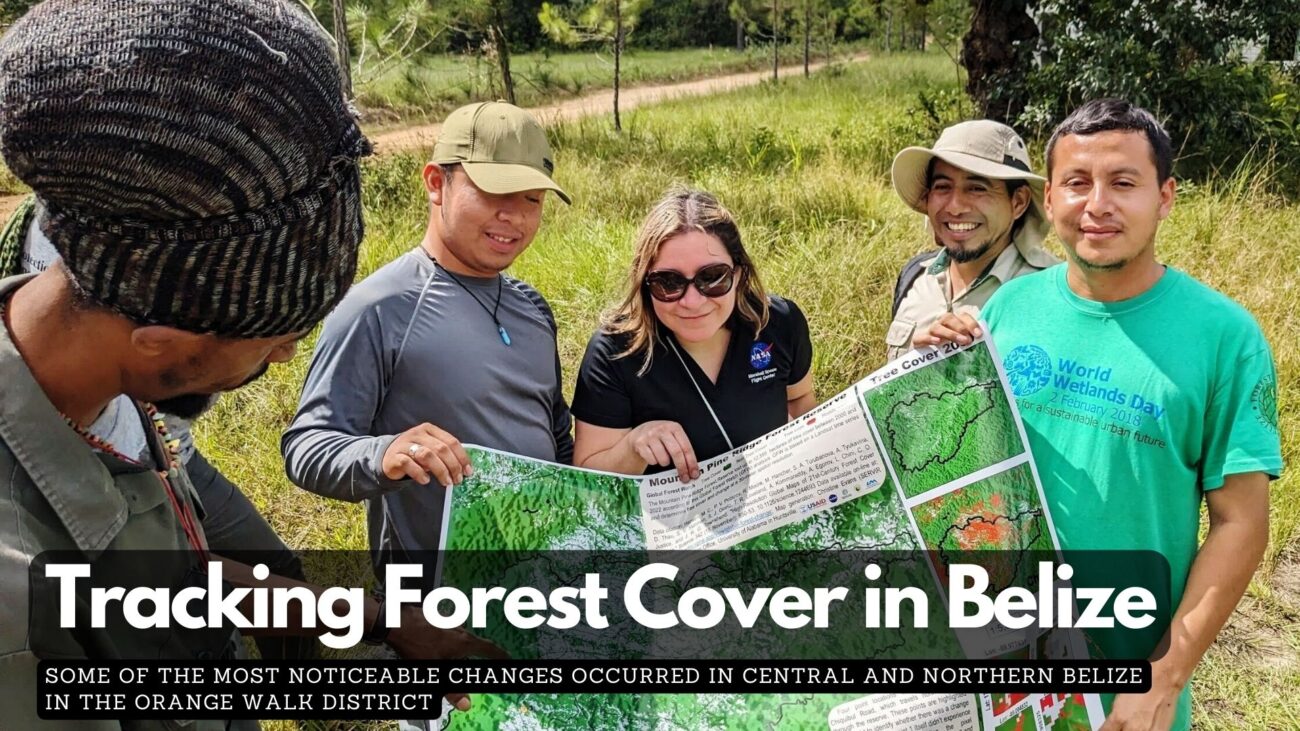 Tracking Forest Cover in Belize