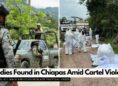 19 Bodies Found in Chiapas Amid Cartel Violence