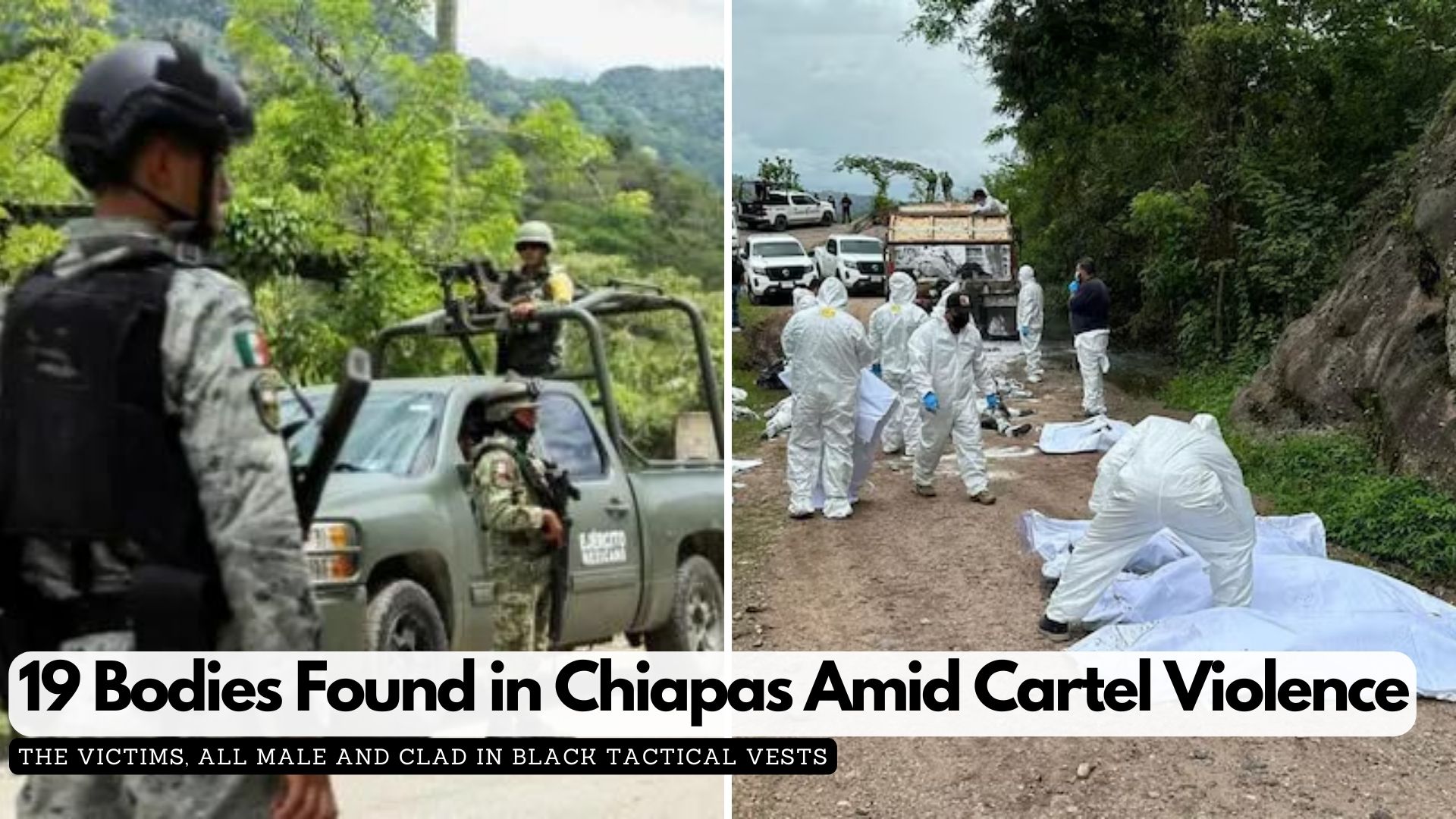 19 Bodies Found in Chiapas Amid Cartel Violence
