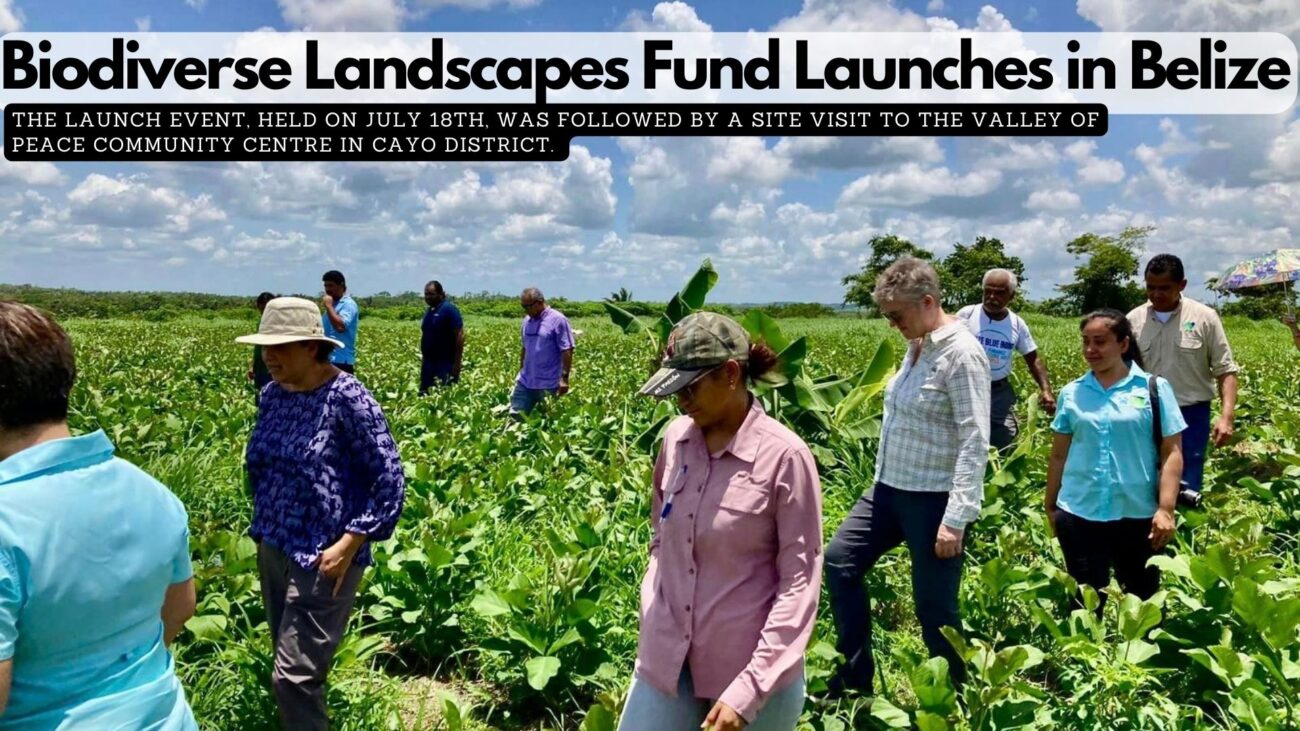 Biodiverse Landscapes Fund Launches in Belize