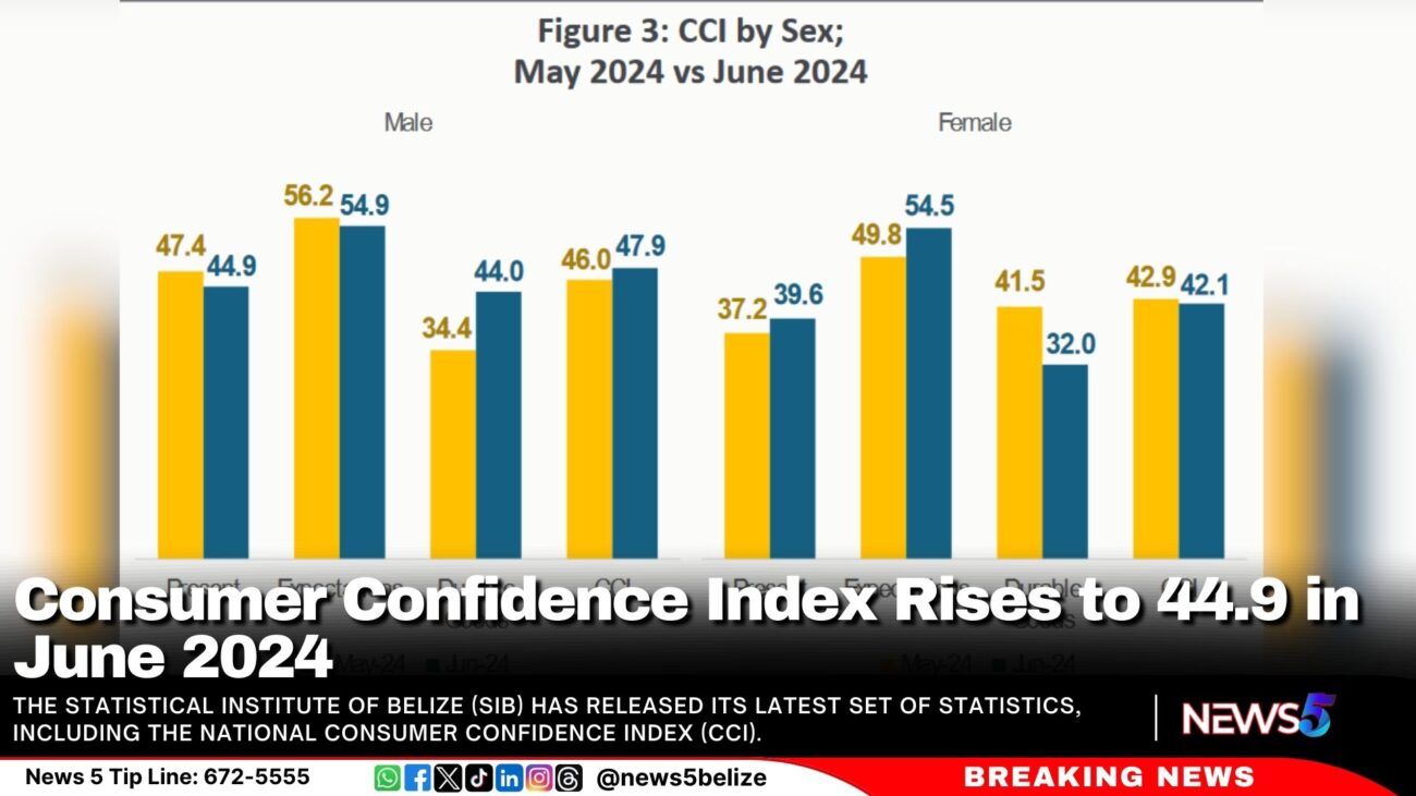 Consumer Confidence Index Rises to 44.9 in June 2024