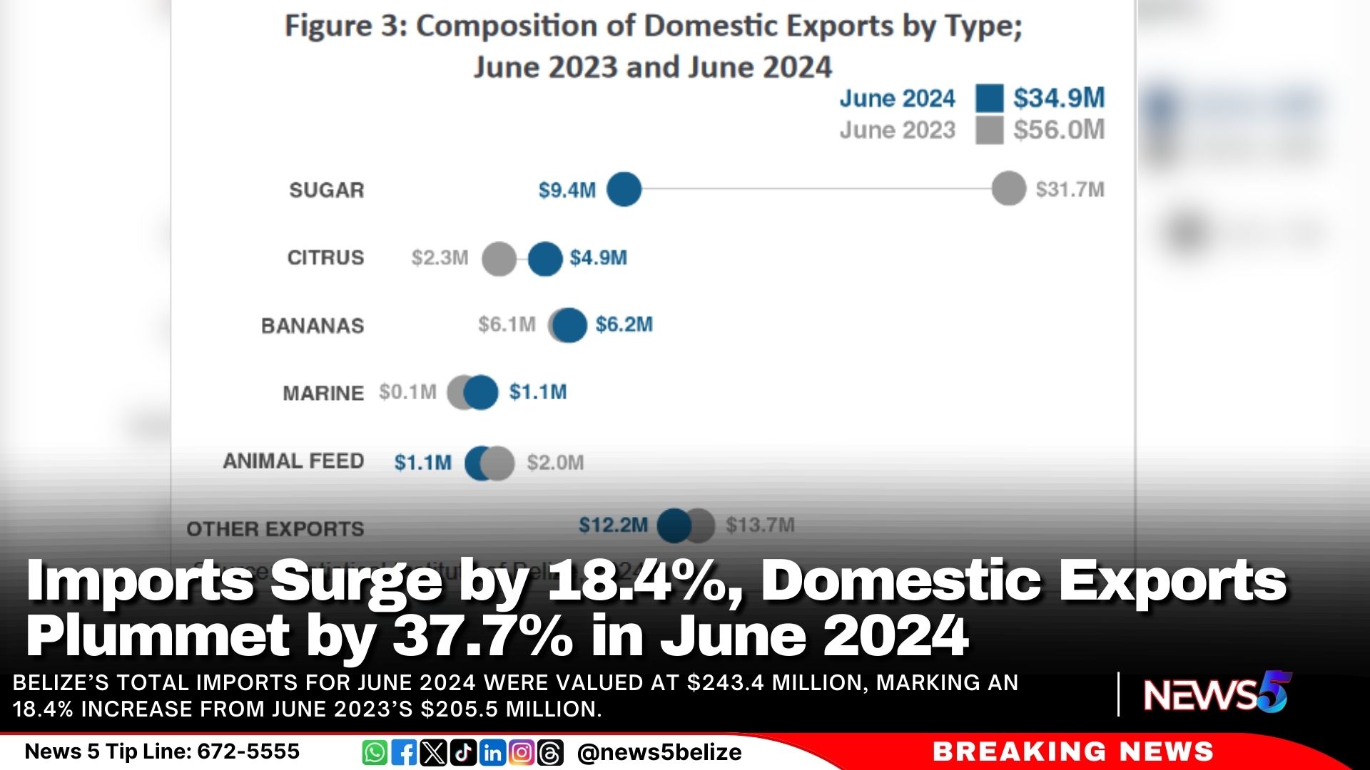 Imports Surge by 18.4%, Domestic Exports Plummet by 37.7% in June 2024