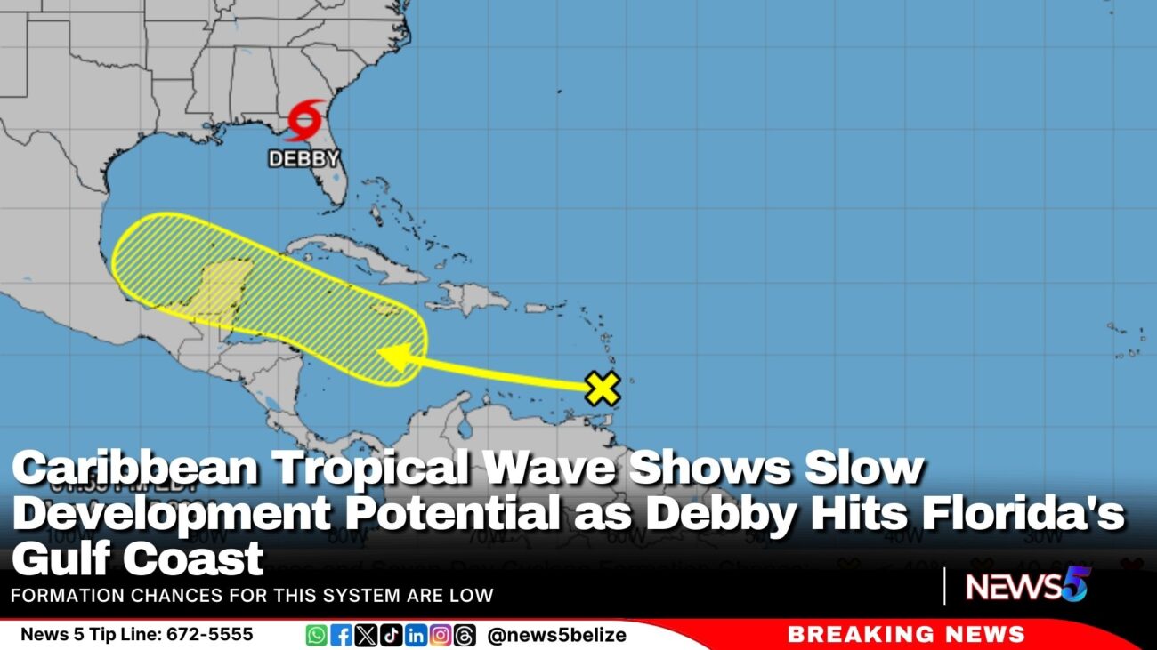 Caribbean Tropical Wave Shows Slow Development Potential as Debby Hits Florida's Gulf Coast