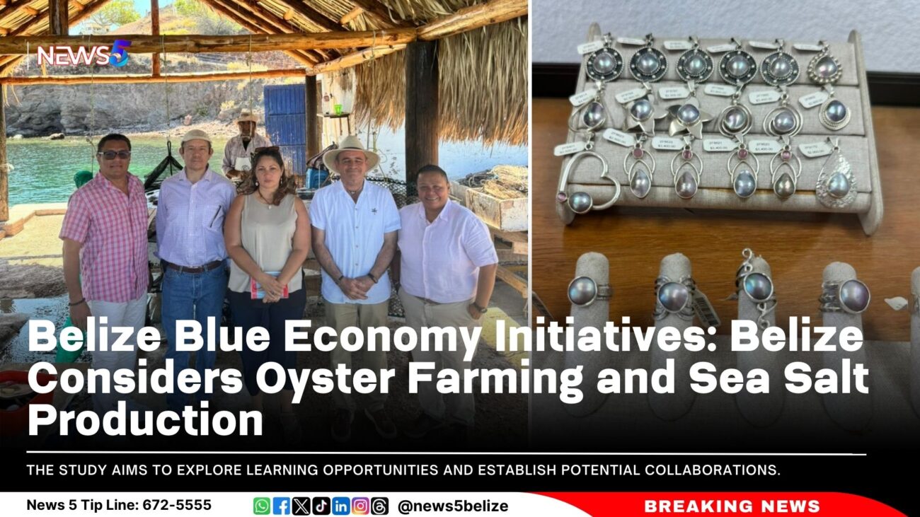 Belize Blue Economy Initiatives: Belize Considers Oyster Farming and Sea Salt Production