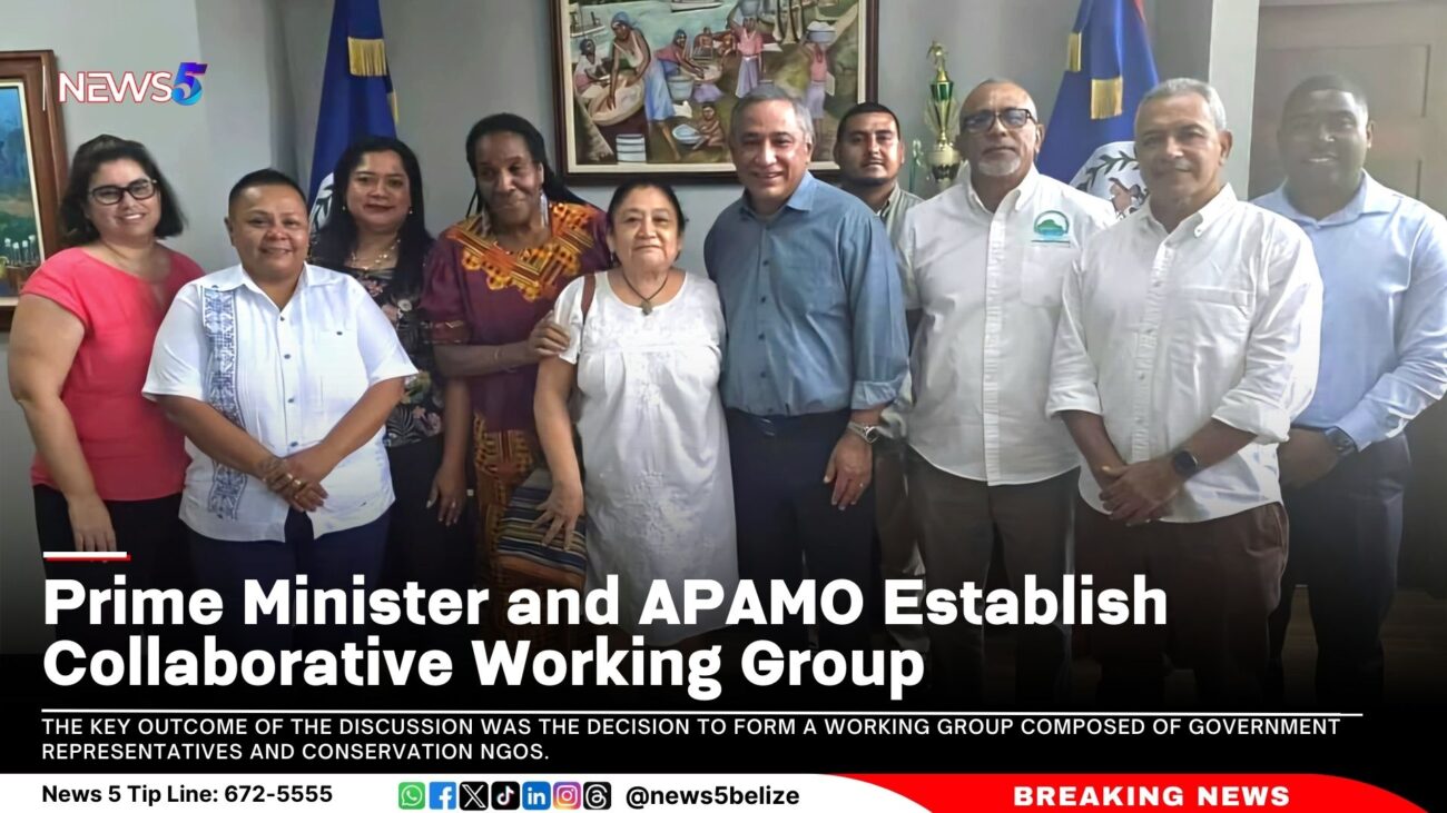 Prime Minister and APAMO Establish Collaborative Working Group