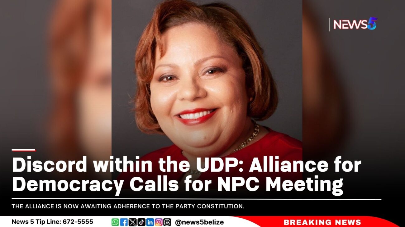 Discord within the UDP: Alliance for Democracy Calls for NPC Meeting