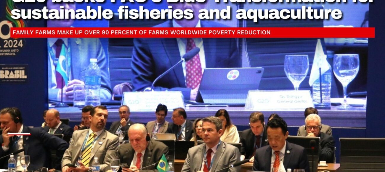 G20 backs FAO’s Blue Transformation for sustainable fisheries and aquaculture