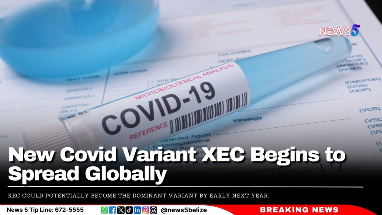 New Covid Variant XEC Begins to Spread Globally