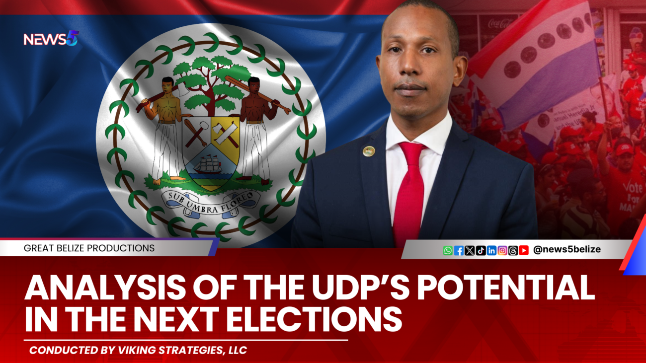 2024 Election Analysis: UDP's Chances Revealed Through Survey and Models