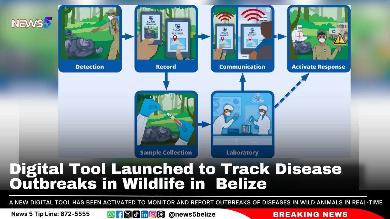 Digital Tool Launched to Track Disease Outbreaks in Wildlife in Belize