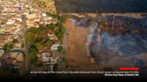 Brazil Faces 'Catastrophic' Wildfires Amid Worst Drought in 40 Years