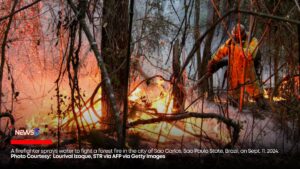 Brazil Faces 'Catastrophic' Wildfires Amid Worst Drought in 40 Years