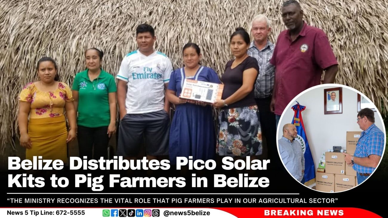 Belize Distributes Pico Solar Kits to Pig Farmers in Belize