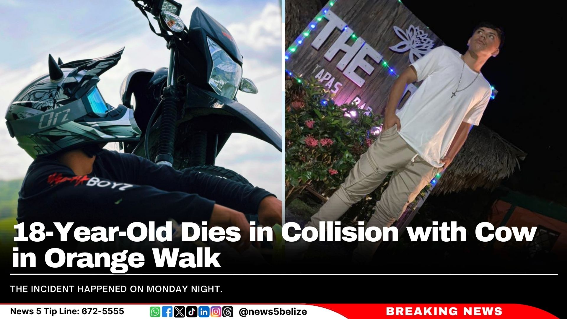 18-Year-Old Dies in Collision with Cow in Orange Walk