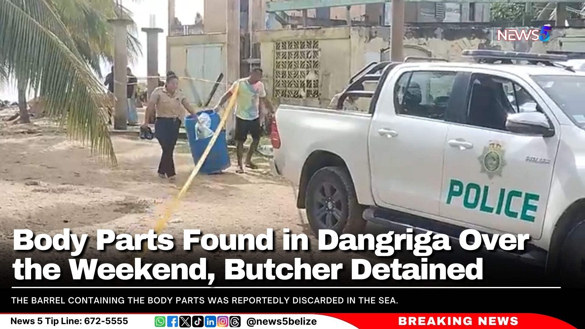 Body Parts Found in Dangriga Over the Weekend, Butcher Detained