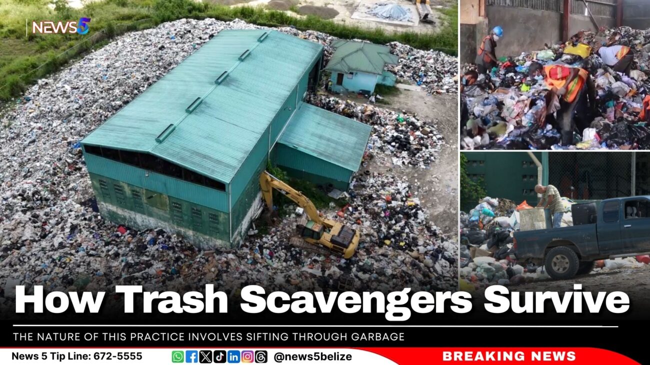 How Trash Scavengers Survive