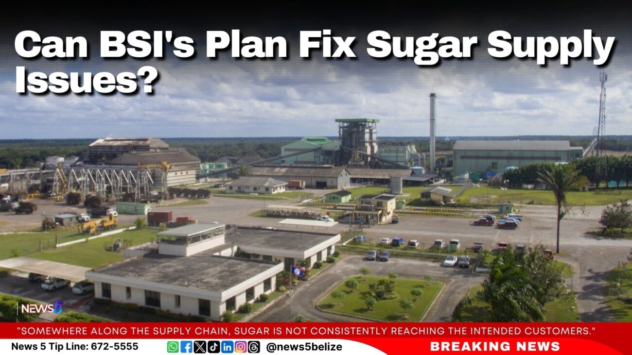 Can BSI's Plan Fix Sugar Supply Issues?