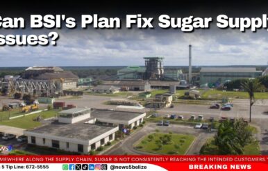 Can BSI's Plan Fix Sugar Supply Issues?