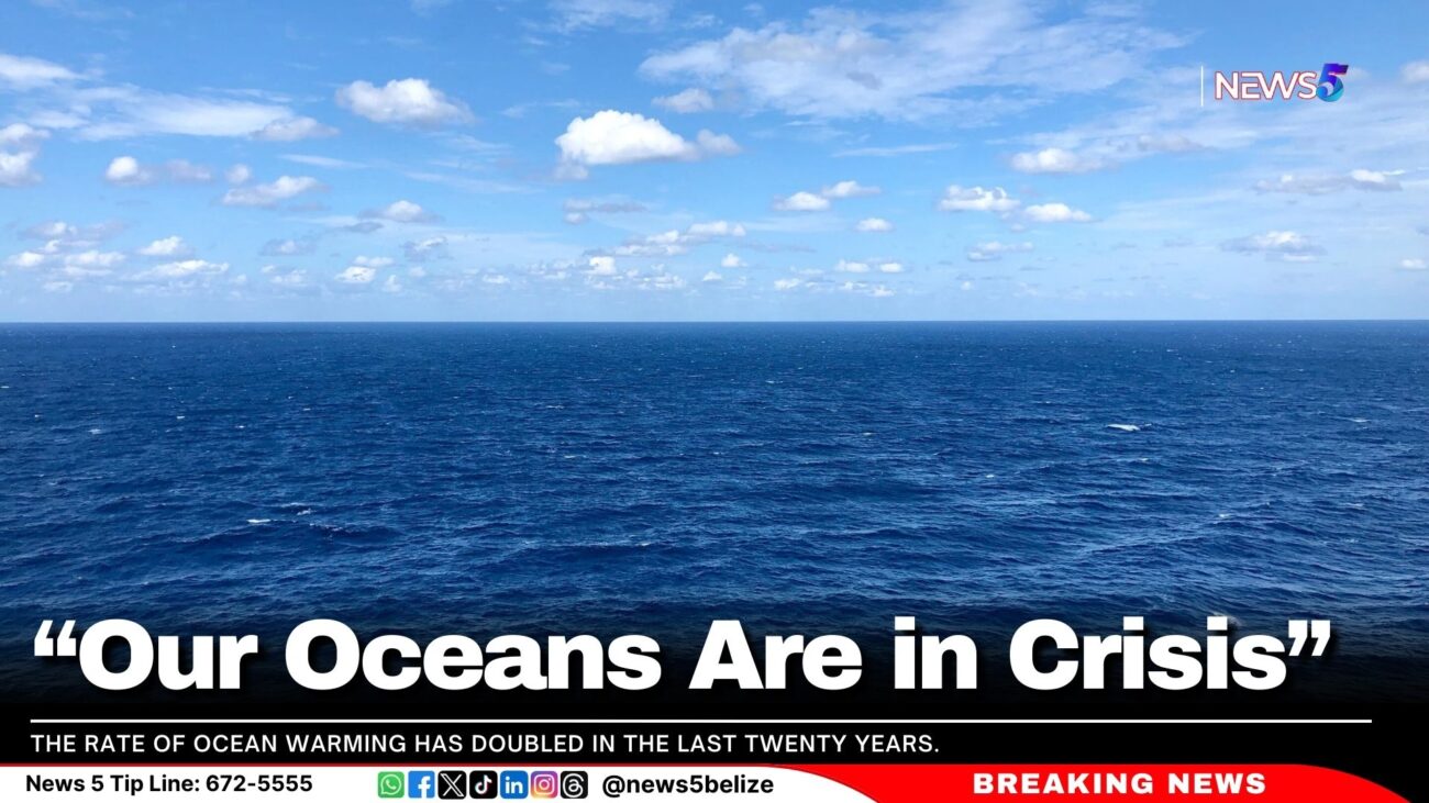 "Our Oceans Are in Crisis"