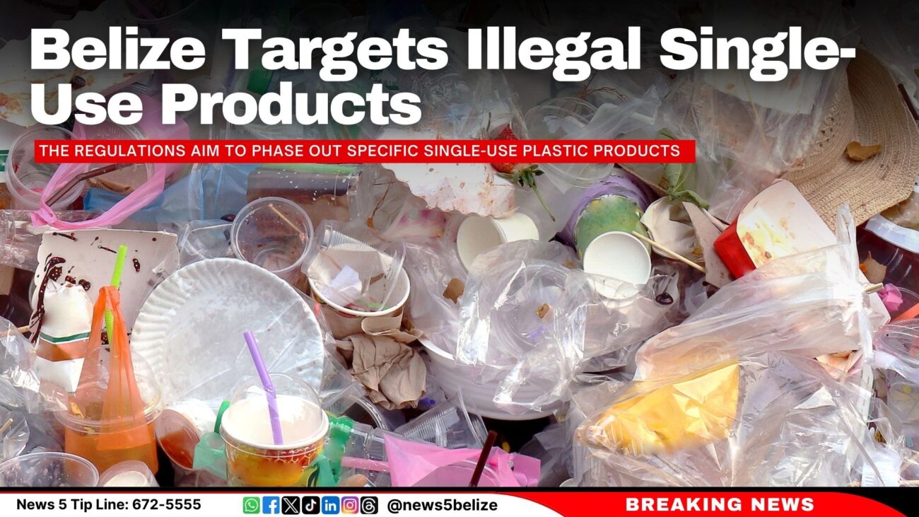 Belize Targets Illegal Single-Use Products