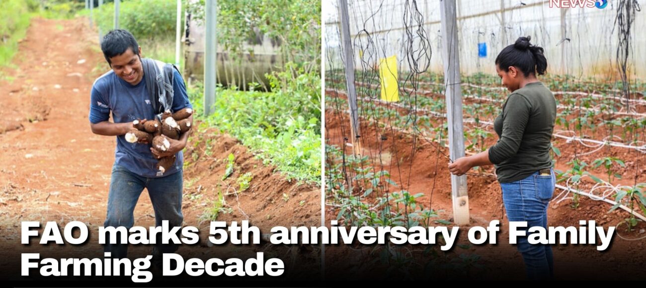 FAO marks 5th anniversary of Family Farming Decade