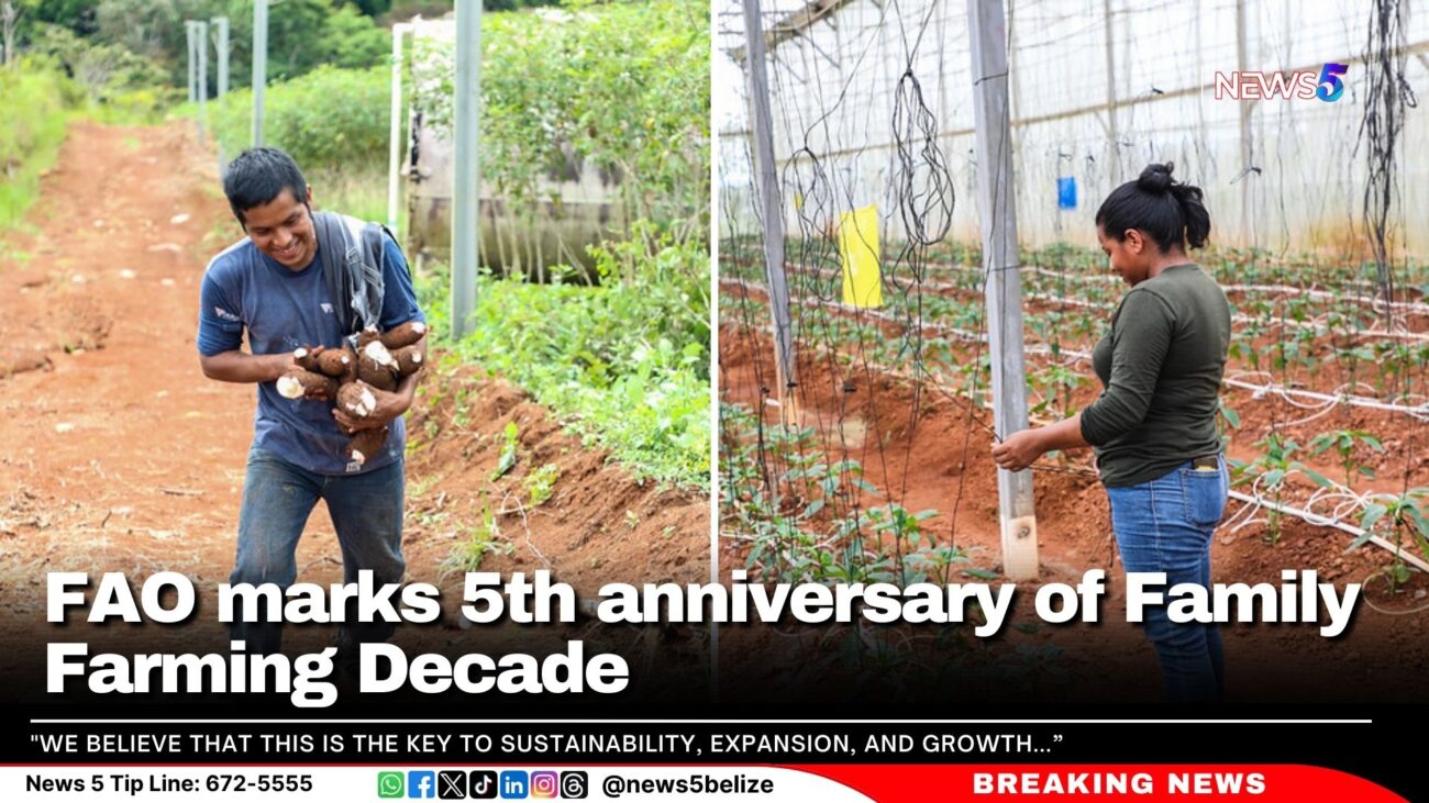 FAO marks 5th anniversary of Family Farming Decade