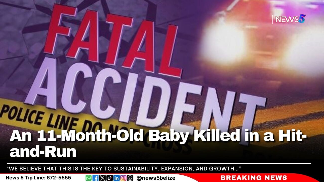 An 11-Month-Old Baby Killed in a Hit-and-Run 