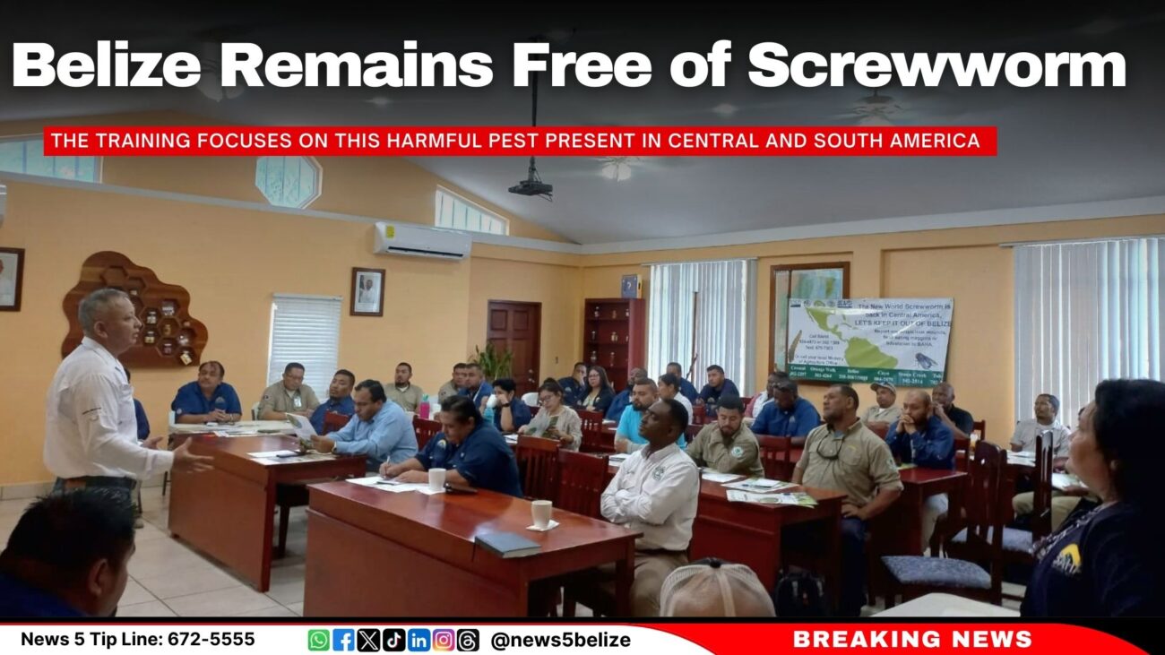 Belize Remains Free of Screwworm