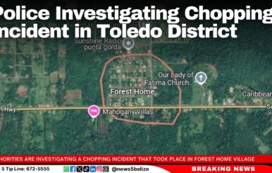 Police Investigating Chopping Incident in Toledo District