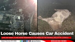 Loose Horse Causes Car Accident 