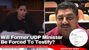 Will Former UDP Minister Be Forced To Testify? 