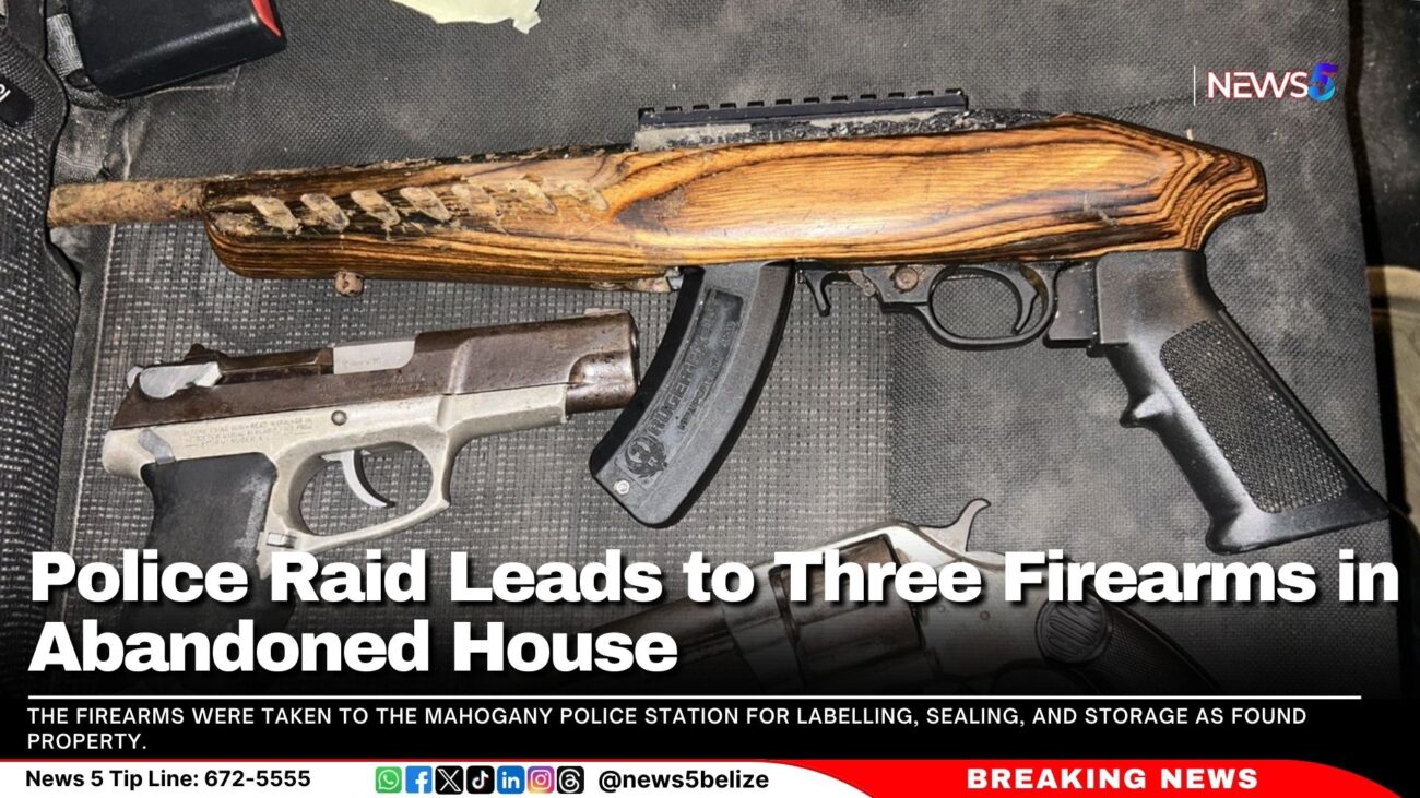 Police Raid Leads to Three Firearms in Abandoned House