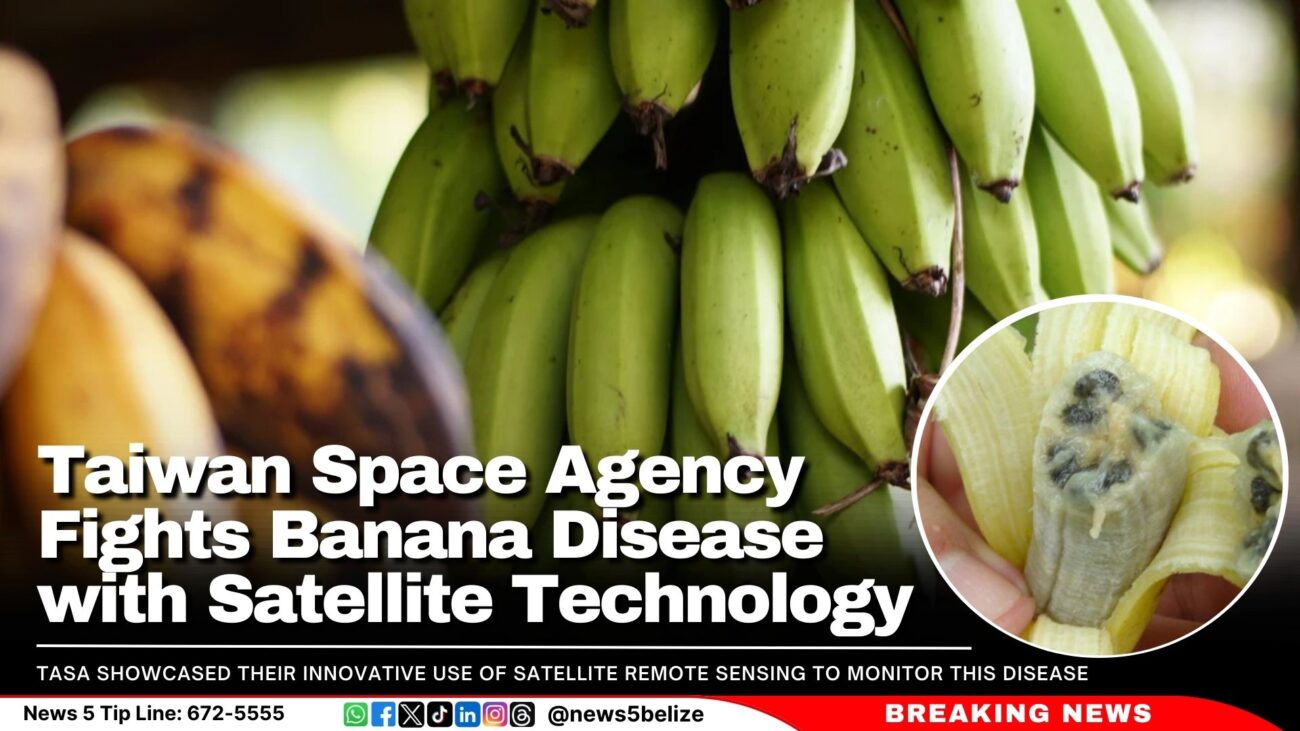 Taiwan Space Agency Fights Banana Disease with Satellite Technology