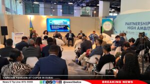 Did Belize and Other SIDS Waste Time and Money at COP28?