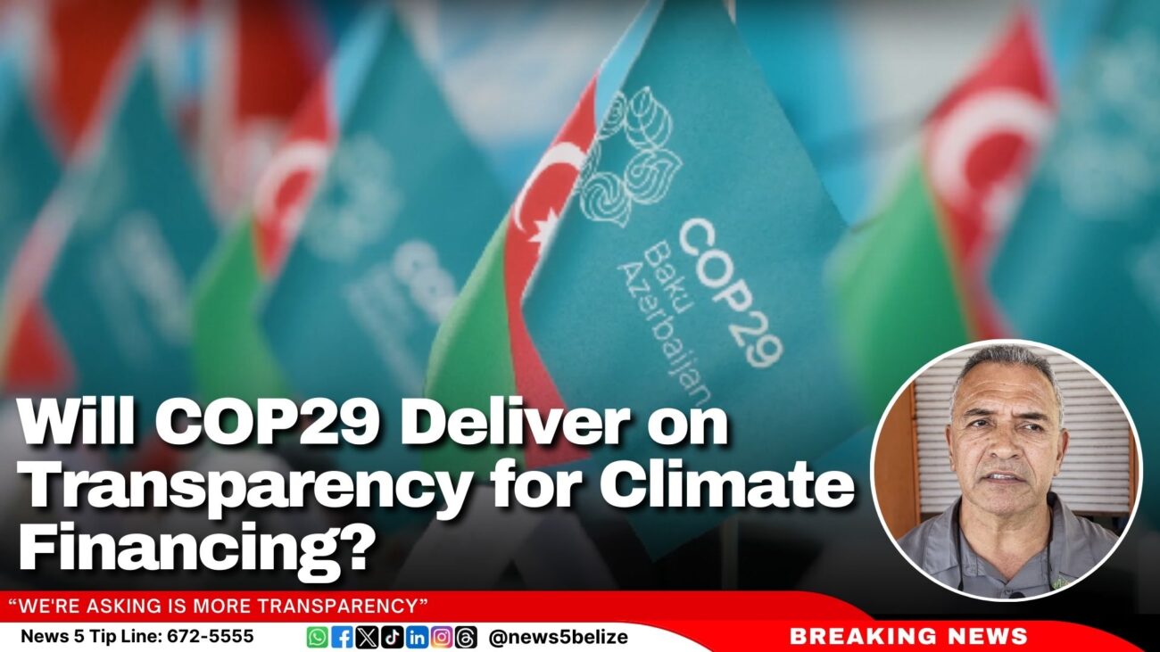 Will COP29 Deliver on Transparency for Climate Financing?