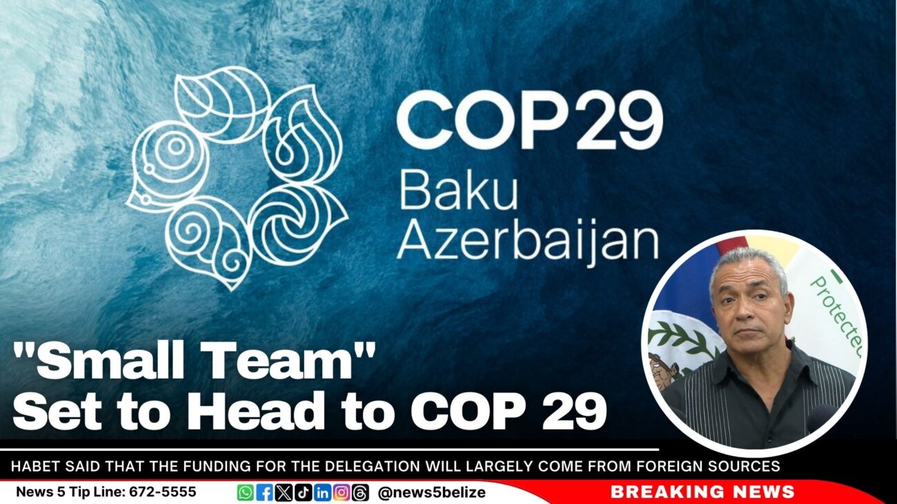 "Small Team" Set to Head to COP 29