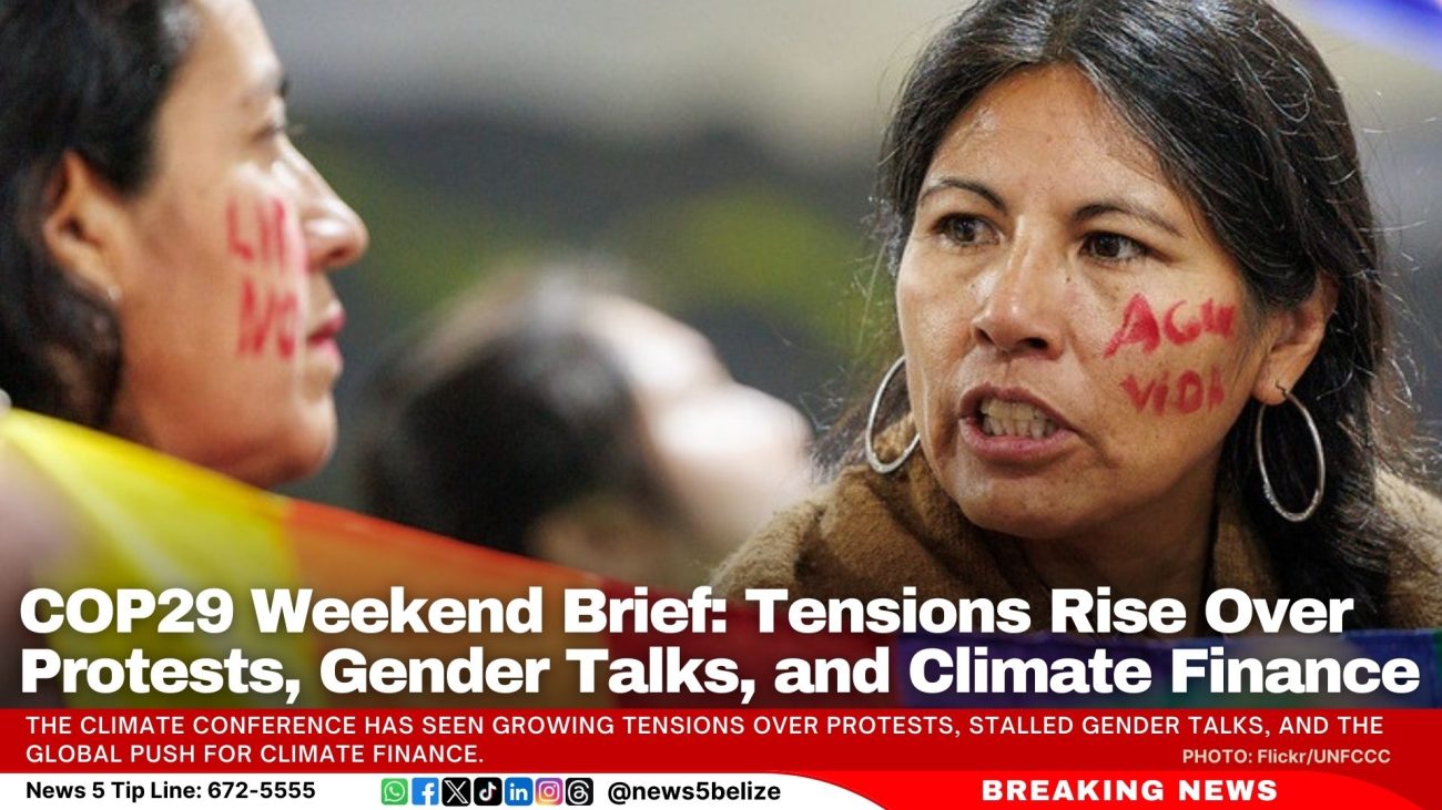 COP29 Weekend Brief: Tensions Rise Over Protests, Gender Talks, and Climate Finance