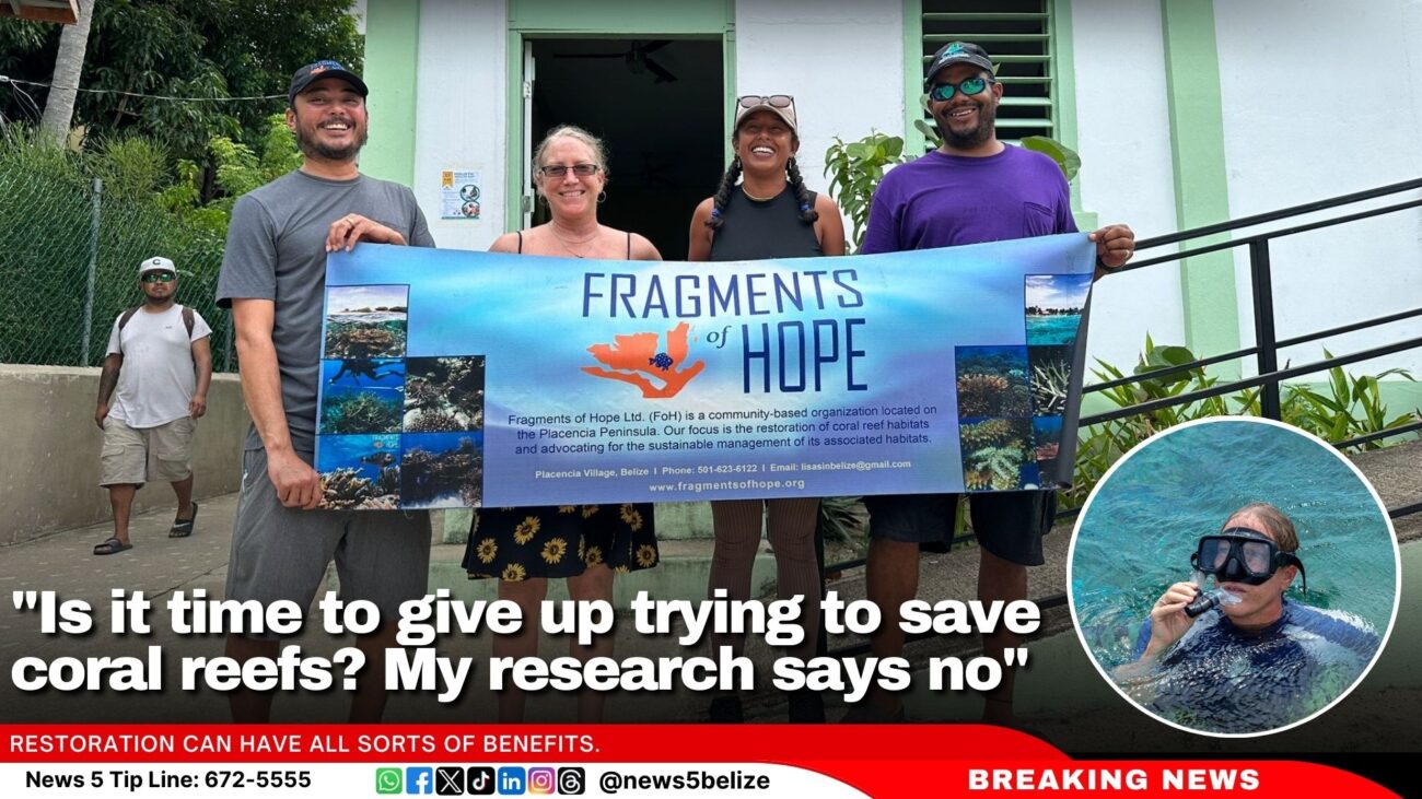 "Is it time to give up trying to save coral reefs? My research says no"