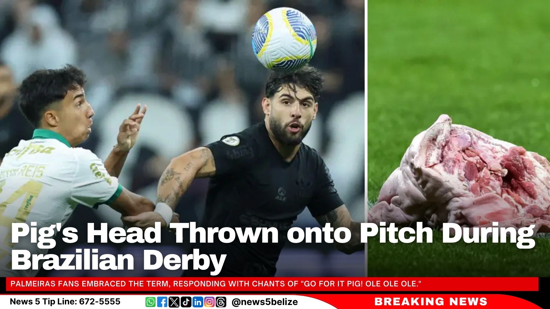 Pig's Head Thrown onto Pitch During Brazilian Derby