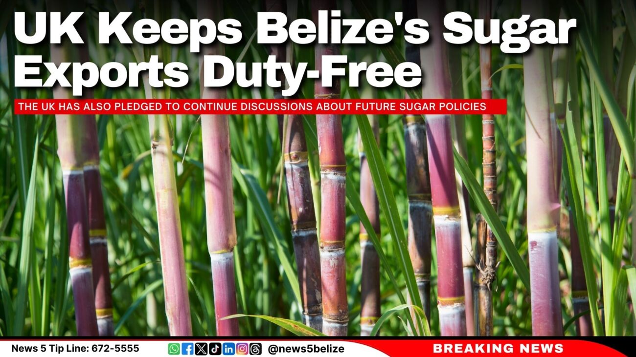 UK Keeps Belize's Sugar Exports Duty-Free