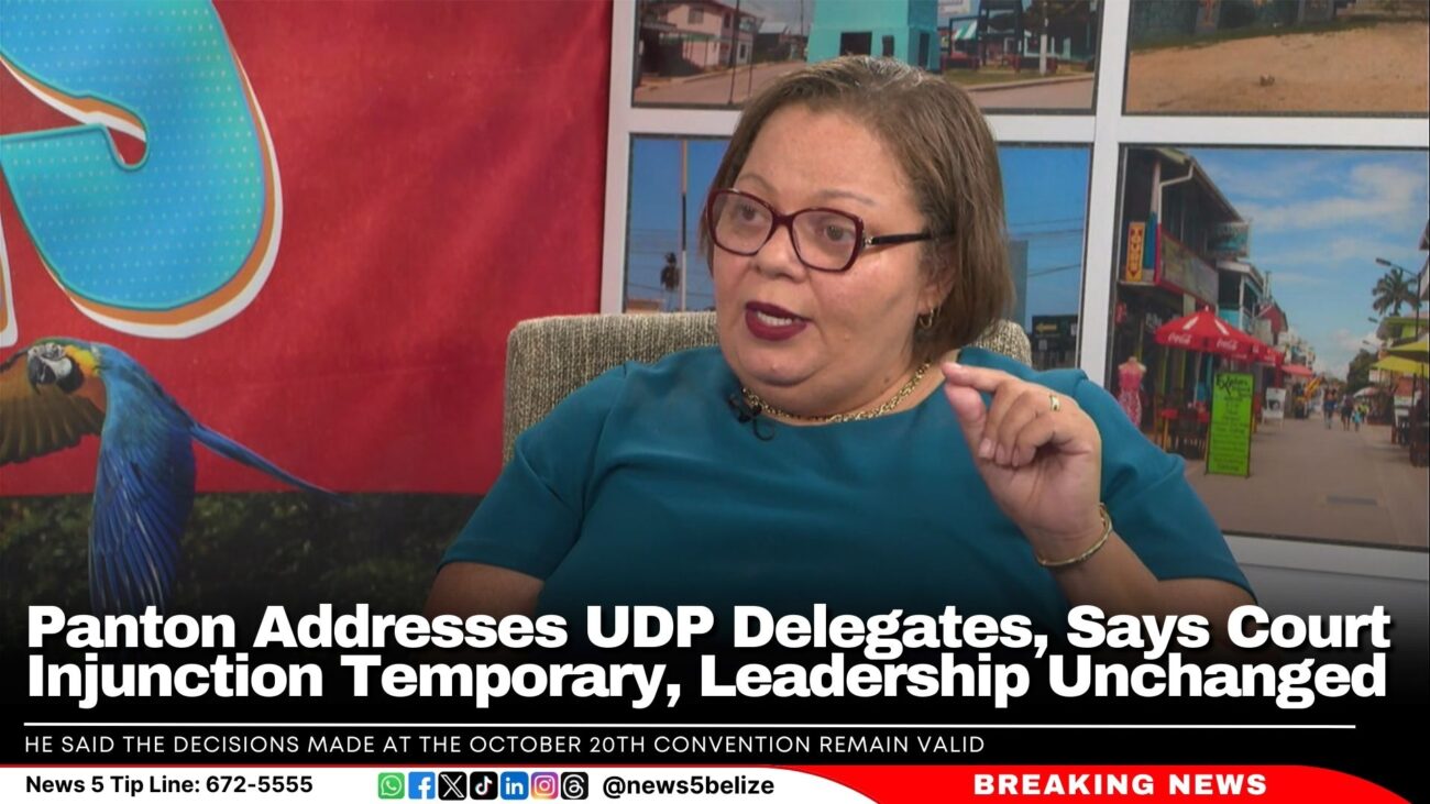 Panton Addresses UDP Delegates, Says Court Injunction Temporary, Leadership Unchanged