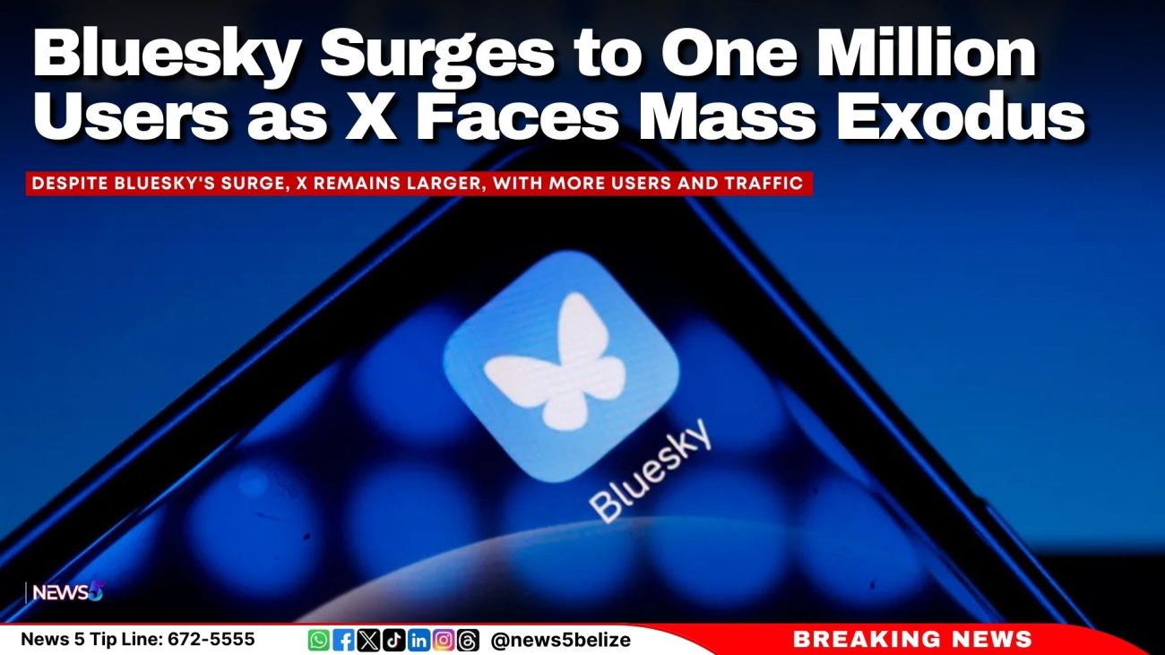 Bluesky Surges to One Million Users as X Faces Mass Exodus