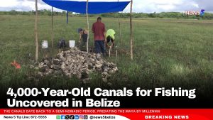 4,000-Year-Old Canals for Fishing Uncovered in Belize